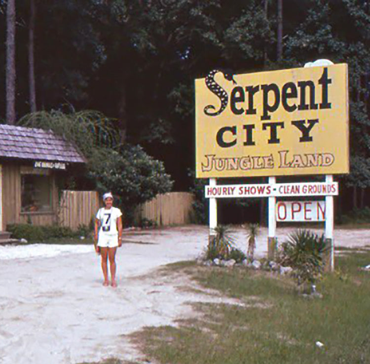 Serpent City Jungle Land